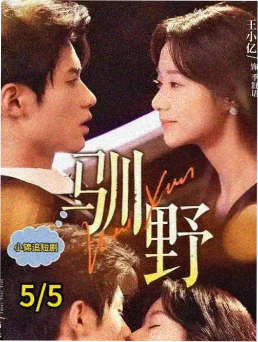 白色巨塔 经典日剧